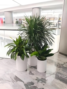 想租海曙花木？先看看这价格背后的门道